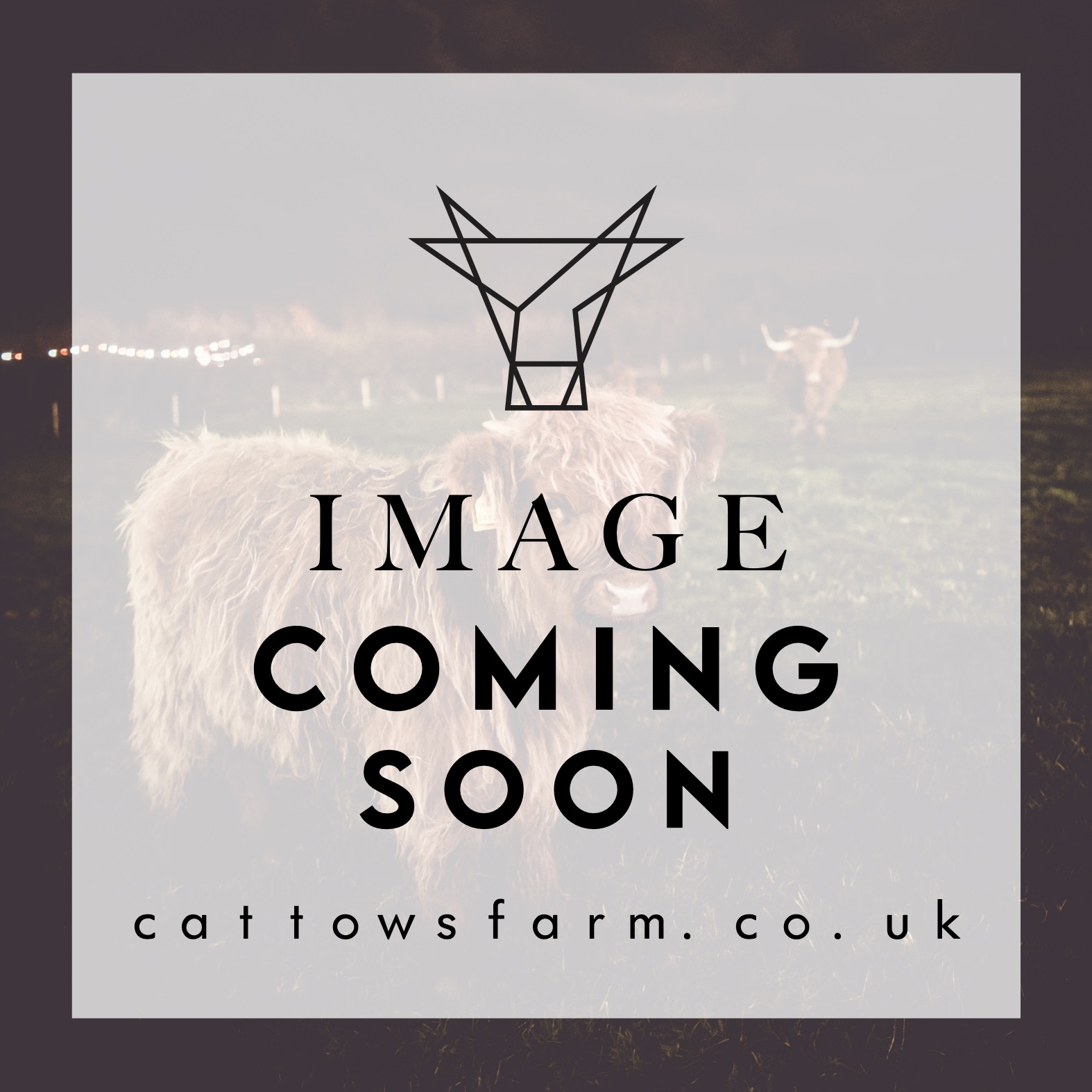 Morning Tea Voucher For One from Cattows Farm Shop