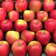 Apples