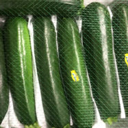 Courgette from Buckmoreland Farm Shop