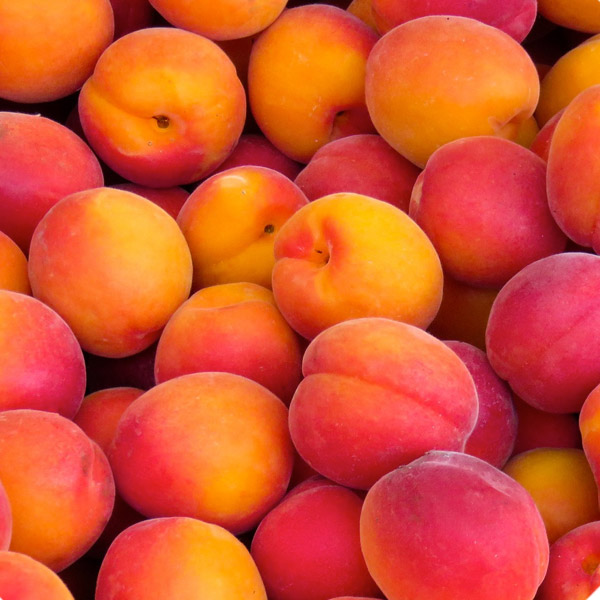 Apricots
